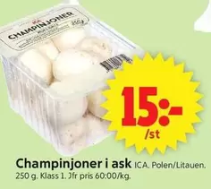 Champinjoner i ask
