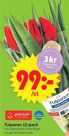Tulpaner 12-pack