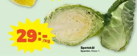 Spetskål
