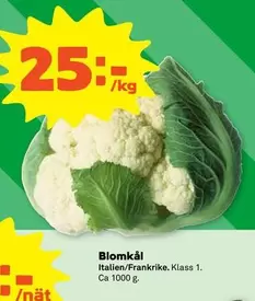Blomkål