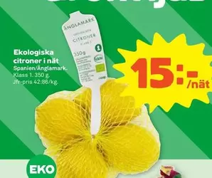 Änglamark - citroner i nät