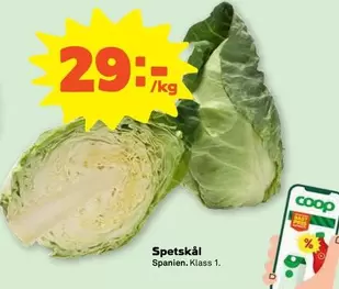 Coop - Spetskål