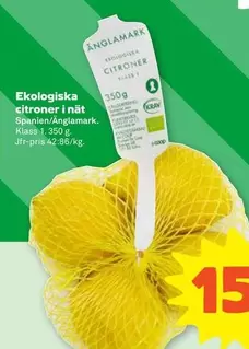 Ekologiska citroner i nät