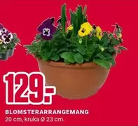 BLOMSTERARRANGEMANG