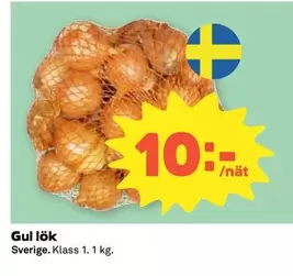 Gul lök