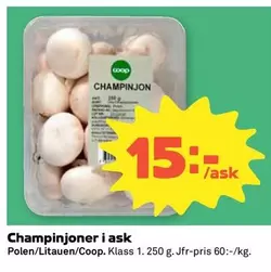 Coop - Champinjoner i ask