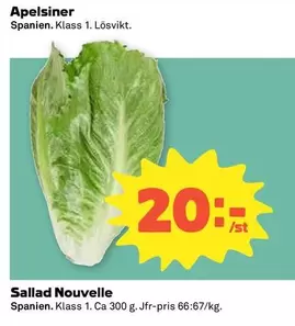 Sallad Nouvelle