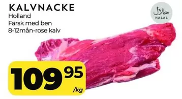 KALVNACKE