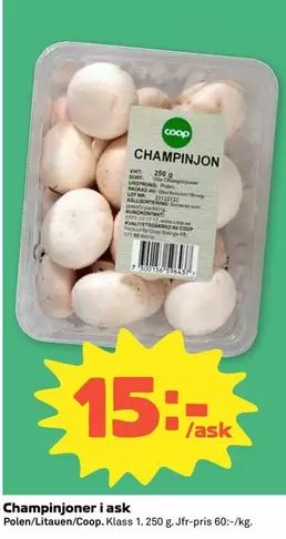 Coop - Champinjoner i ask