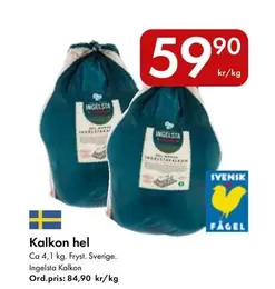 Ingelsta kalkon - Kalkon hel