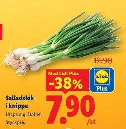 Salladslök i knippe