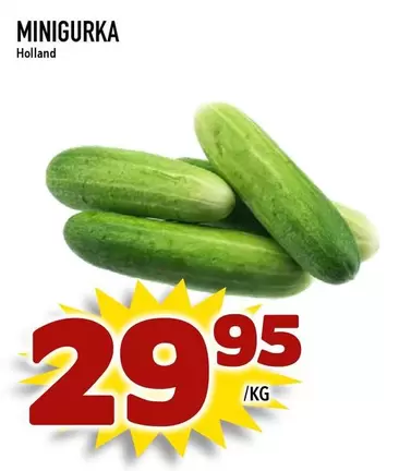 MINIGURKA