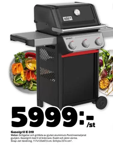 Weber - Gasolgrill E-310