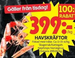 HAVSKRÄFTOR