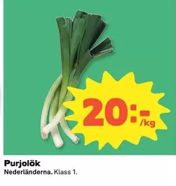 Purjolök