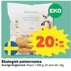 Änglamark - Ekologisk palsternacka