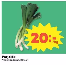 Purjolök
