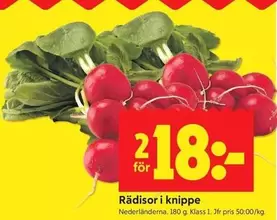 Rädisor i knippe