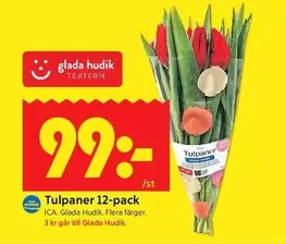 Tulpaner 12-pack