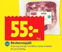 Scan - Revbensspjäll