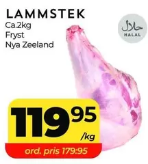 LAMMSTEK