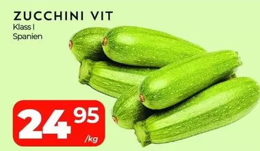 ZUCCHINI VIT