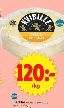 Kvibille - Cheddar