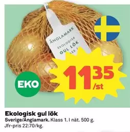 Änglamark - Ekologisk gul lök
