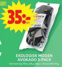 EKOLOGISK MOGEN AVOKADO 3-PACK