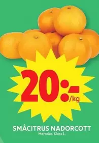 SMÅCITRUS NADORCOTT