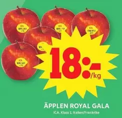 Äpplen Royal Gala