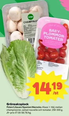 Coop - Grönsaksplock
