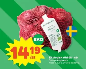 EKO - Ekologisk rödlök