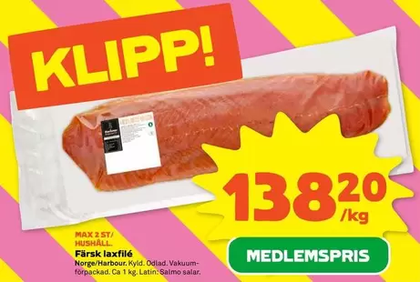 Färsk laxfilé