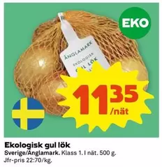 Änglamark - Ekologisk gul lök