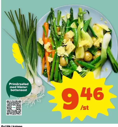 Primörsallad med Västter-bottensost