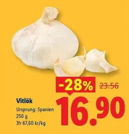 Vitlök