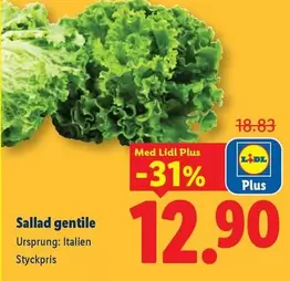 Sallad gentile
