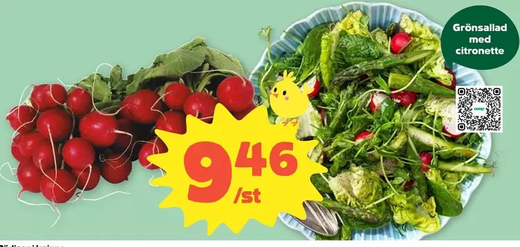 Grönsallad med citronetta