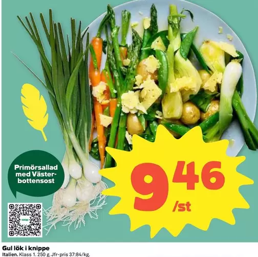 Coop - Gul lök i knippe