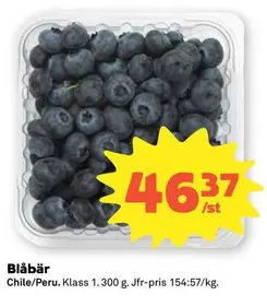 Blåbär