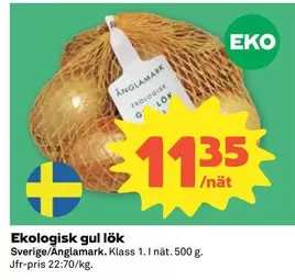 Änglamark - Ekologisk gul lök
