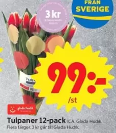 Tulpaner 12-pack