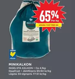 Ingelsta kalkon - MINIKALKON