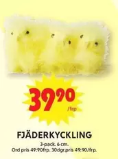 FJÄDERKYCKLING