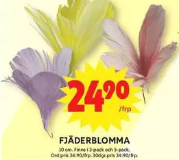 Fjäderblomma