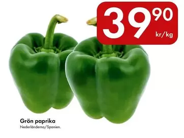 Grön paprika
