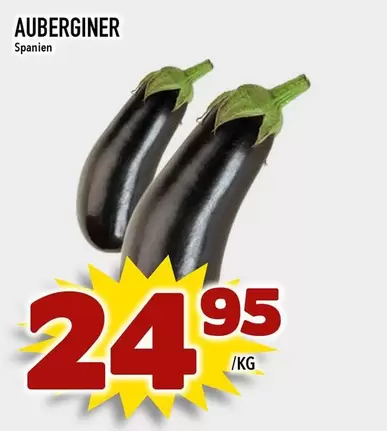 AUBERGINER