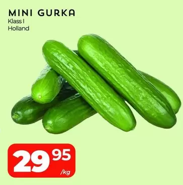 MINI GURKA