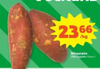 Sötpotatis